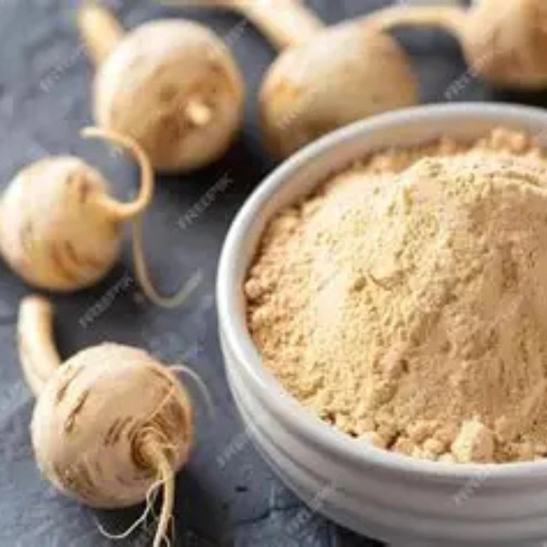 Maca Root botanical ingredient